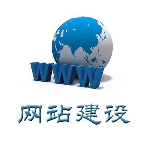 专业网站建设/seo网络优化/ 将 兵网络 江西 将 兵网络技术中.