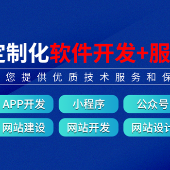 江西互联网应用开发公司,商城小程序开发购物网站建设