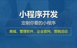 江西南昌互联网电商购物网站建设小程序APP软件开发
